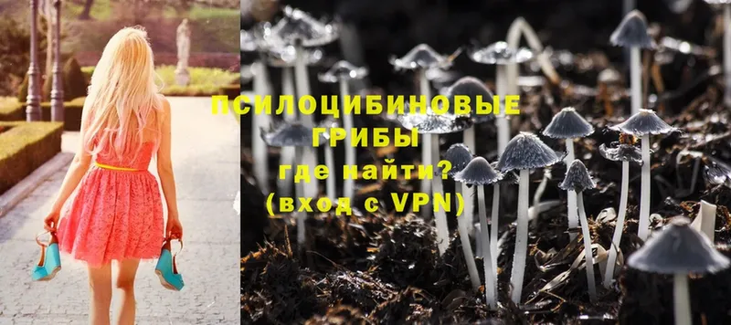 закладки  hydra ТОР  Псилоцибиновые грибы MAGIC MUSHROOMS  Новороссийск 